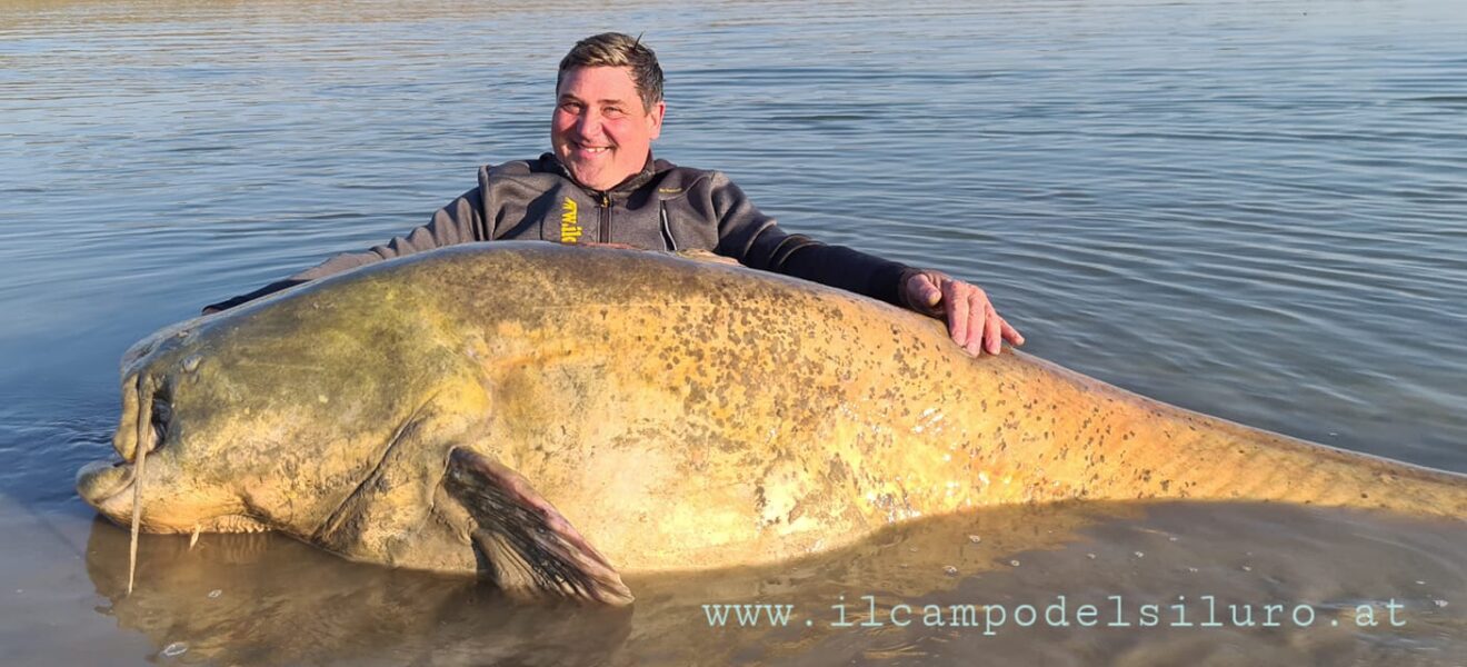 Les Poissons Record De France Et Du Monde Carpe Brochet Sandre