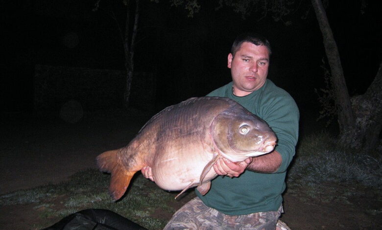 Une belle carpe prise avec un dumbell de 10 mm.