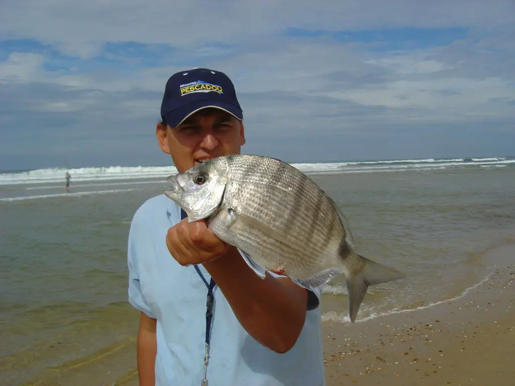 Surfcasting Pêche Sar