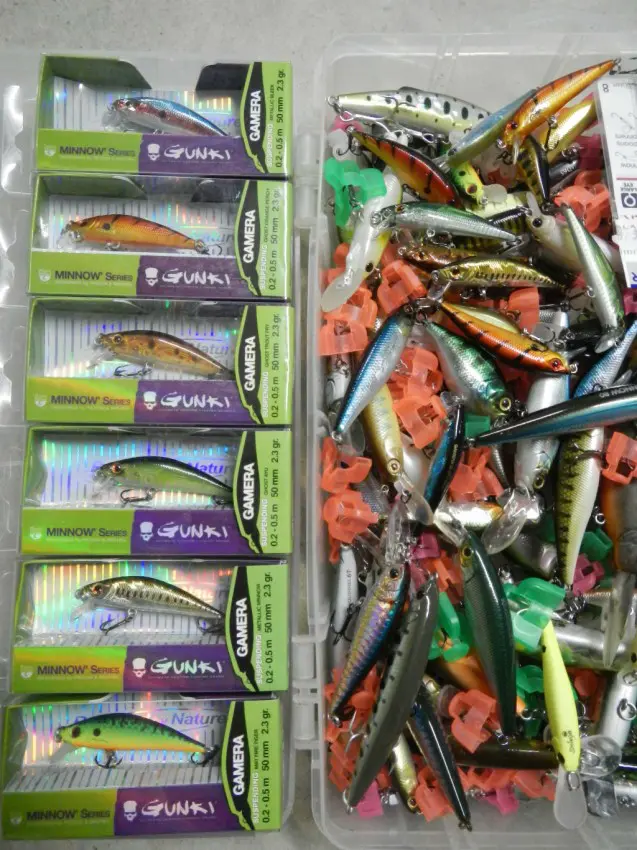 Un assortiment de poissons nageurs