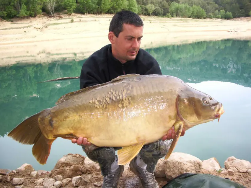 Un magnifique poisson capturé en eau claire à l’aide d’un appât « home-made ».