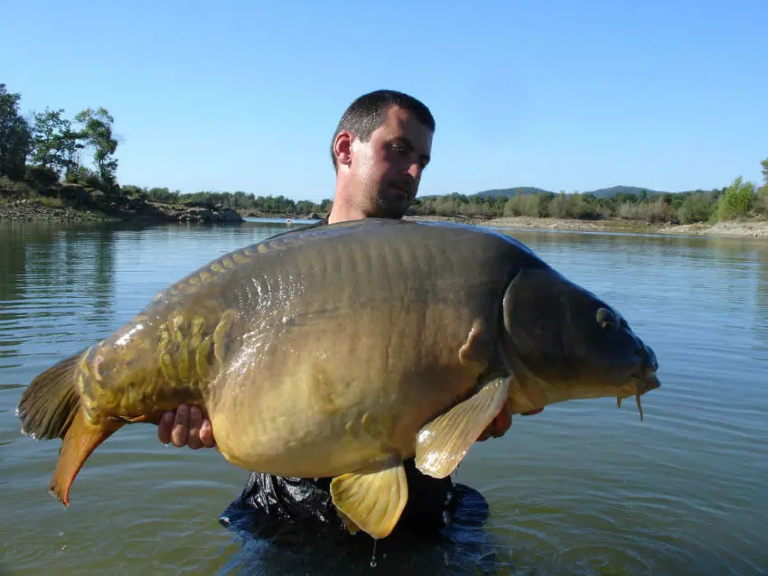 Faire un gros poisson avec ses propres bouillettes : instant magique !