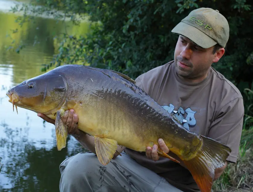 Un joli poisson tout en longueur