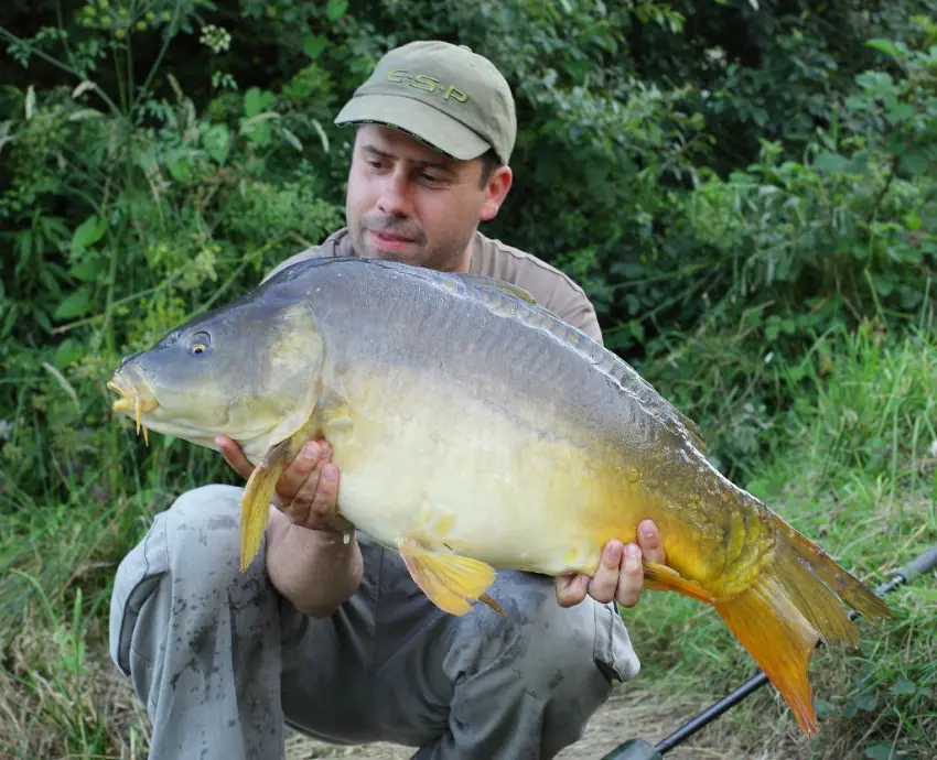 Le method-feeder permet de capturer rapidement les poissons