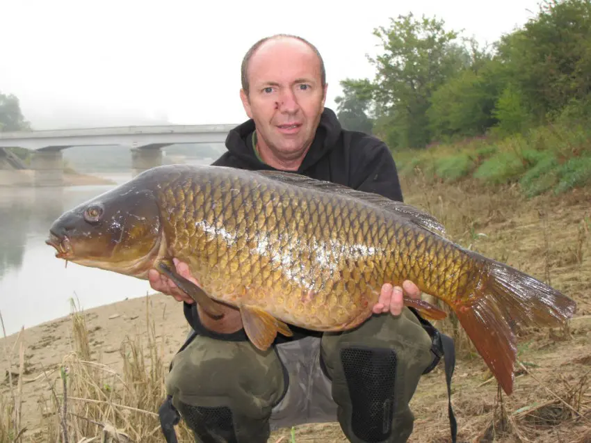 Par niveau bas, les carpes se rapprochent des barrages.