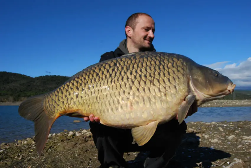 Durant cette session, nous avons joint l’utile à l’agréable. Nous avons pêché le lac à son niveau le plus bas, ce qui nous a permis d’effectuer le repérage entre les départs !