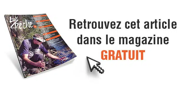 lire-magazine-2