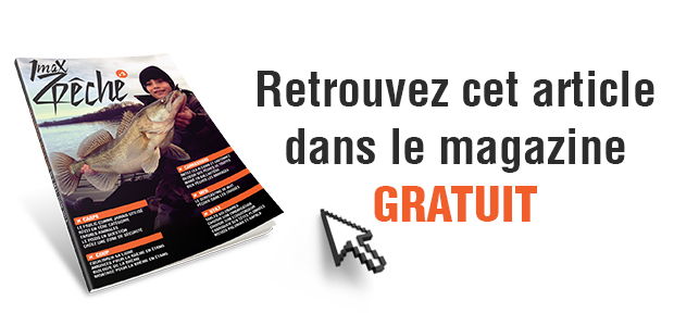 lire-magazine-3