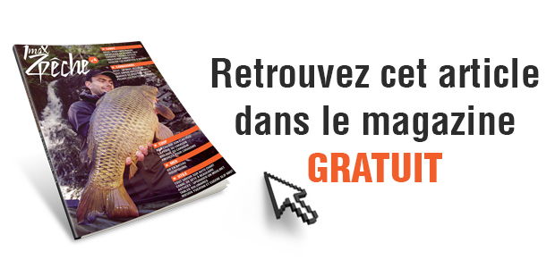 lire-magazine-4