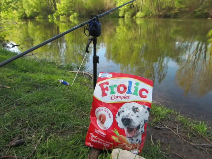 Le Frolic pour pêcher la carpe