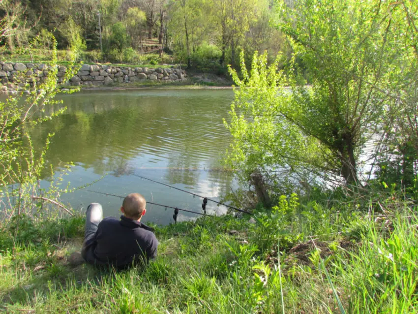 Le Frolic pour pêcher la carpe