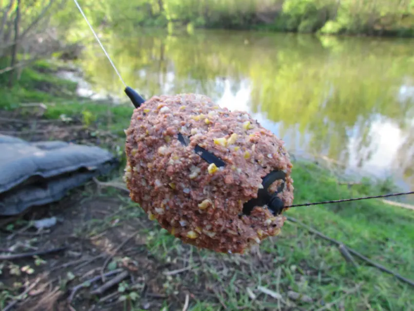 Le Frolic pour pêcher la carpe