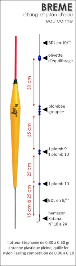 Montage de ligne pour pêcher la brème en étang
