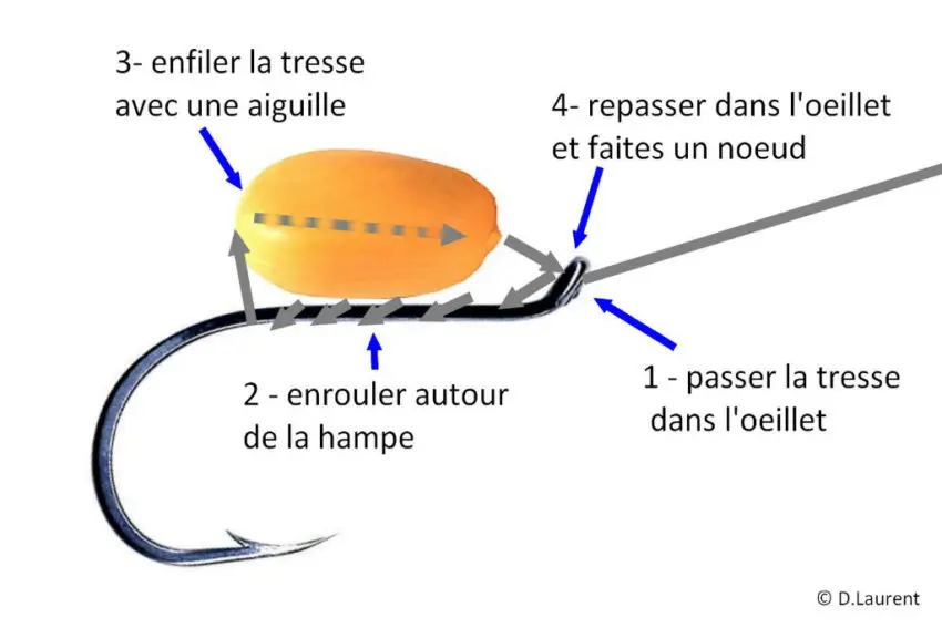 Pêche de la brème au coup au moulinet