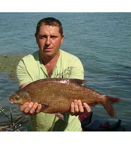 Pêche de la brème au coup au moulinet