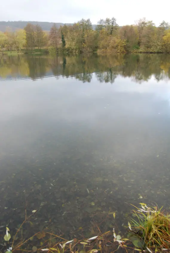 Pêcher les carnassiers en eaux claires