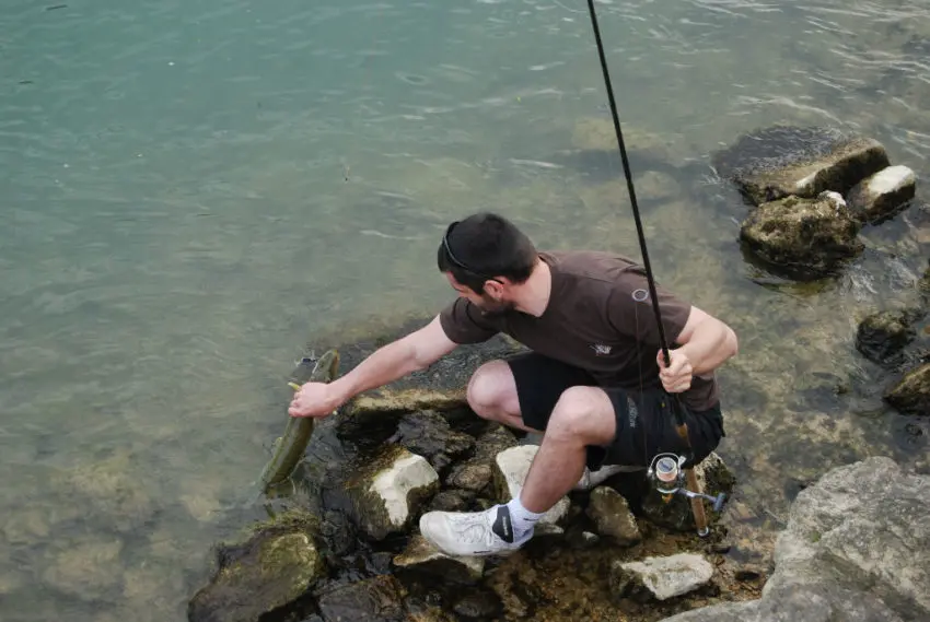 Pêcher les carnassiers en eaux claires