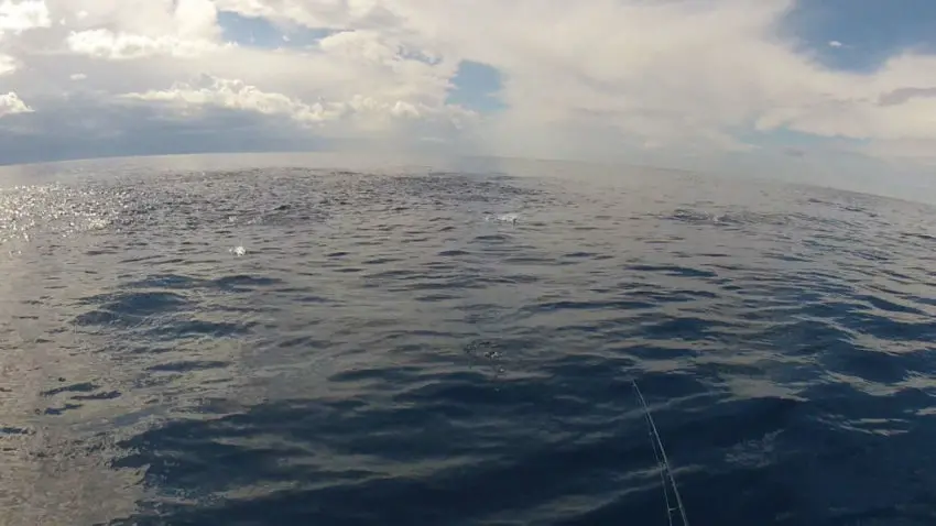 Pêcher dans les chasses en mer