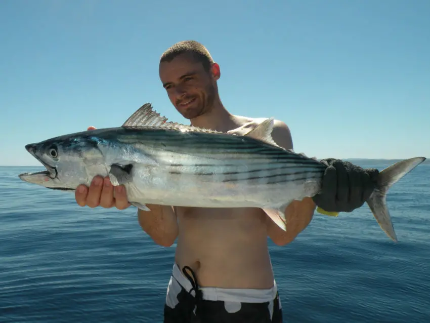 Pêcher dans les chasses en mer