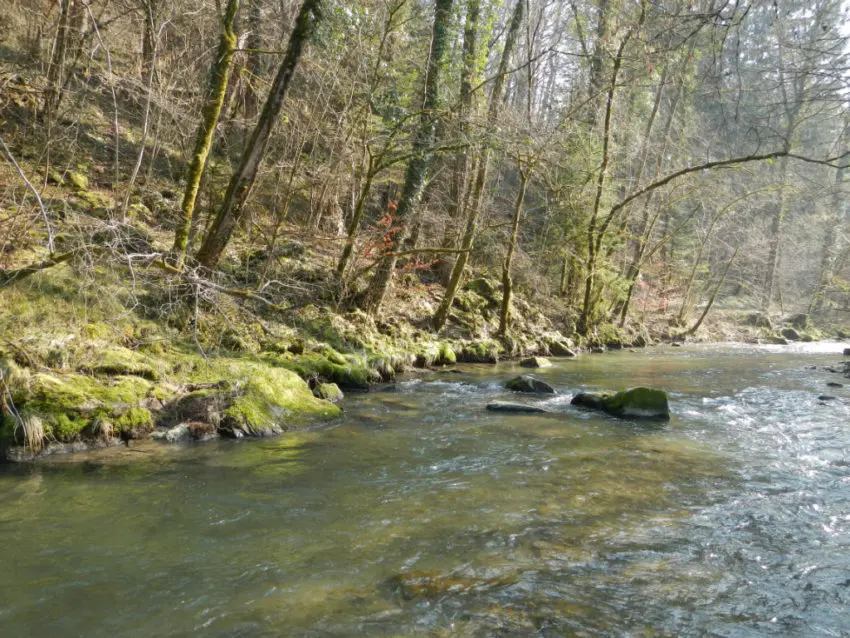 Conseils pour pêcher la truite