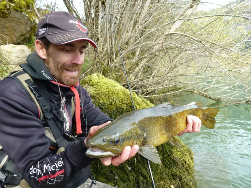 Test « gros poissons » réussi