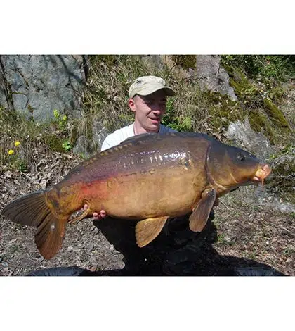 La pêche de la carpe en 1ere catégorie