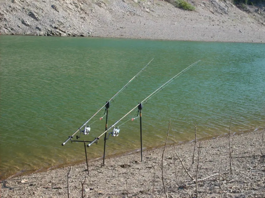 La pêche de la carpe en 1ere catégorie