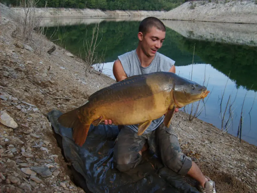 La pêche de la carpe en 1ere catégorie