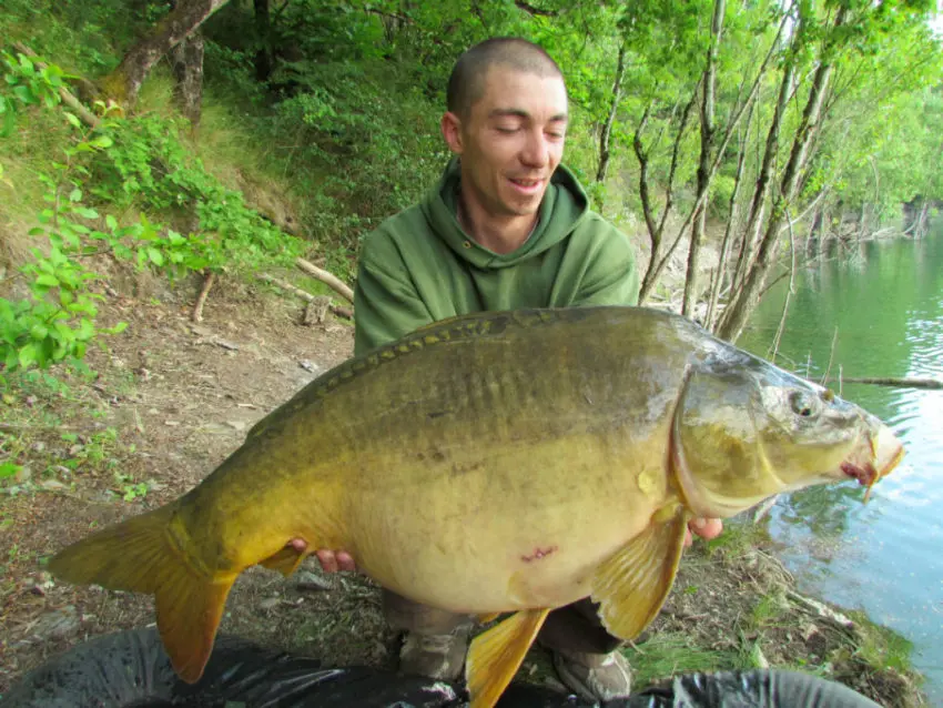 La pêche de la carpe en 1ere catégorie