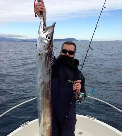 Pêcher le sabre au jig en mer