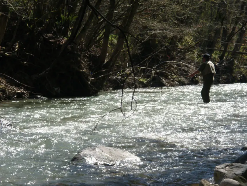 La pêche de la truite au toc et aux appâts naturels