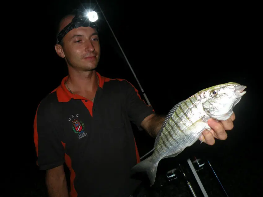 Réussir sa compétition surfcasting