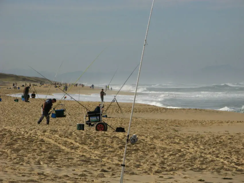 Réussir sa compétition surfcasting