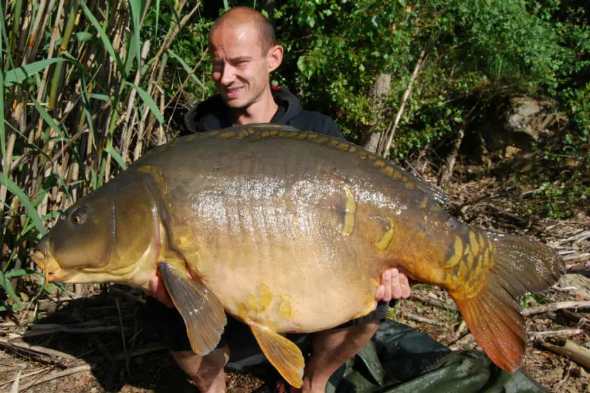 L'évolution du poids des carpes