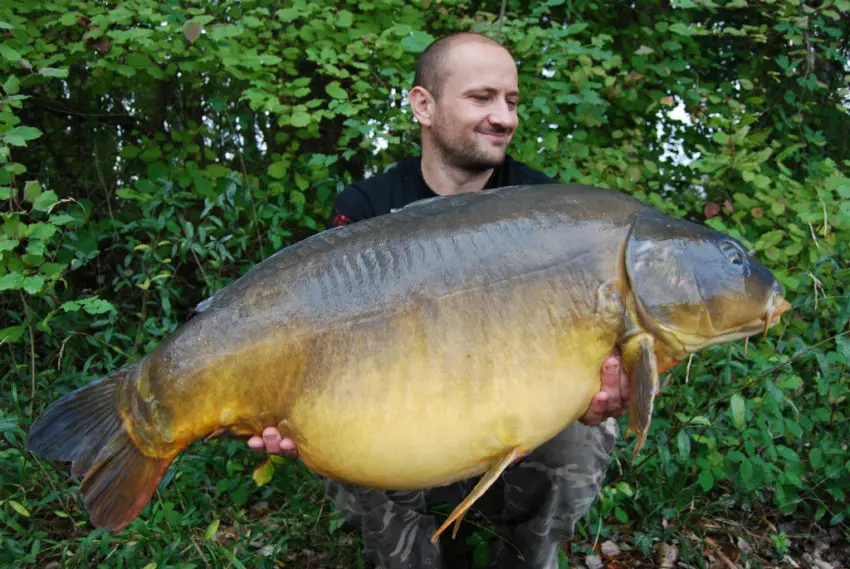 L'évolution du poids des carpes