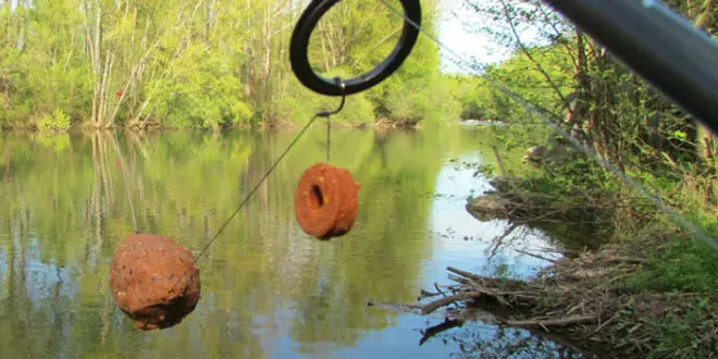 Frolic, l'appât pour la pêche à la carpe