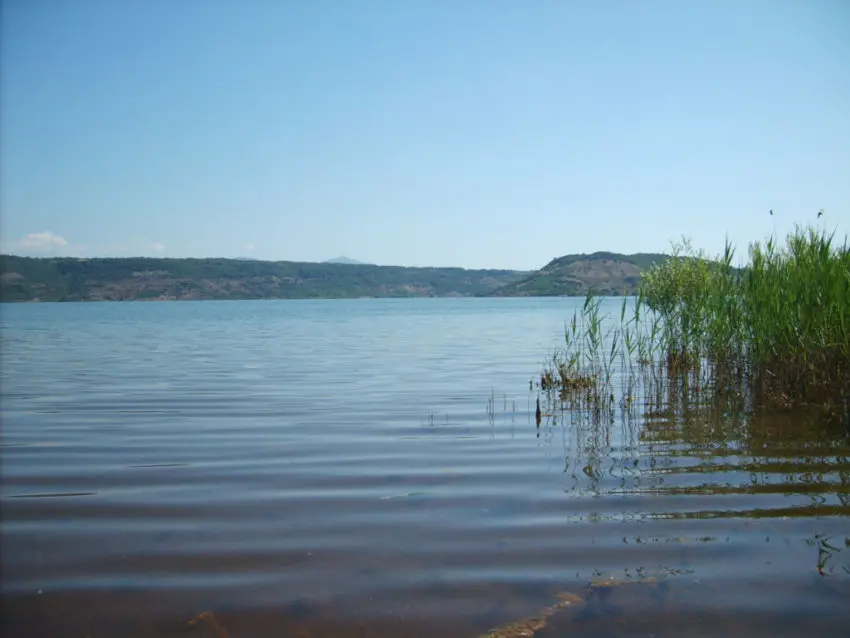 Conseils d'amorçage pour pêcher la carpe en grands lacs