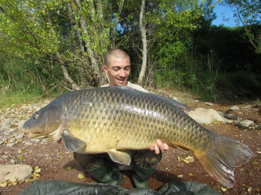 Conseils d'amorçage pour pêcher la carpe en grands lacs