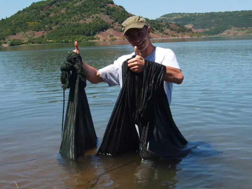 Conseils d'amorçage pour pêcher la carpe en grands lacs