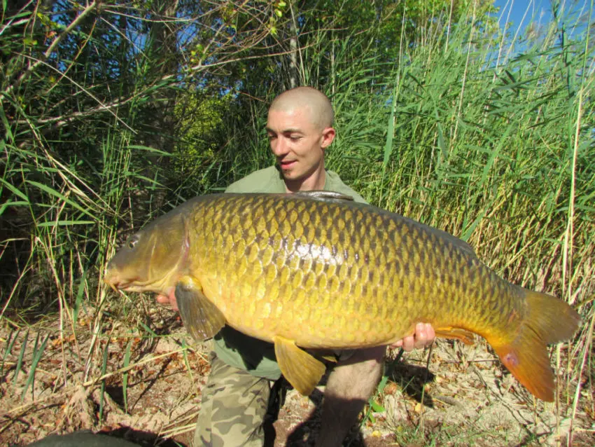 Conseils d'amorçage pour pêcher la carpe en grands lacs