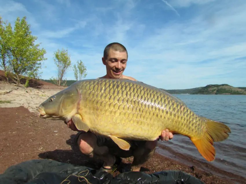 Conseils d'amorçage pour pêcher la carpe en grands lacs