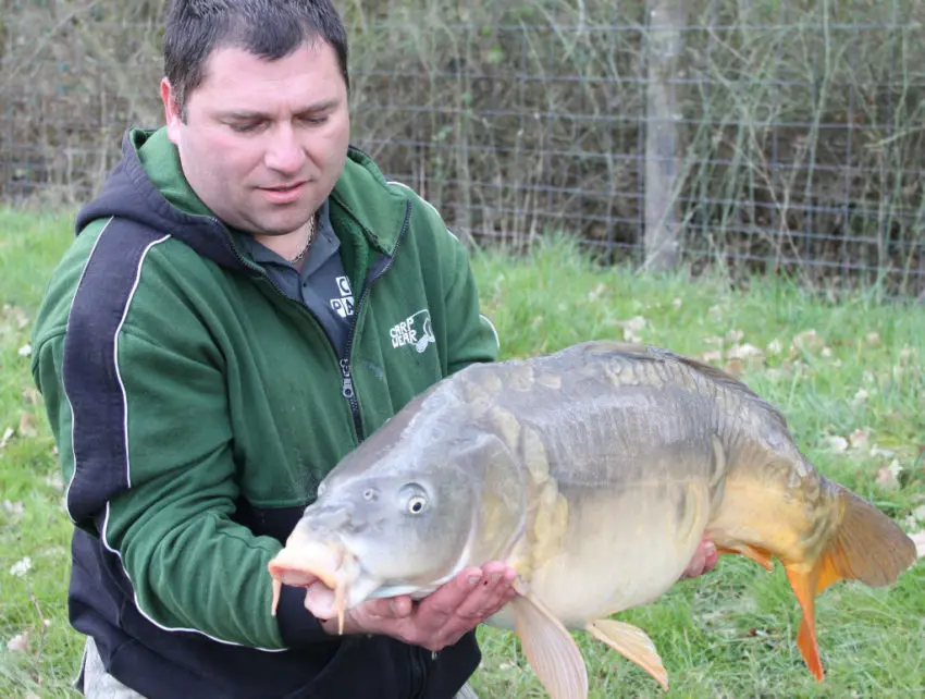 Choisir son élastique pour pêcher la carpe en carpodrome