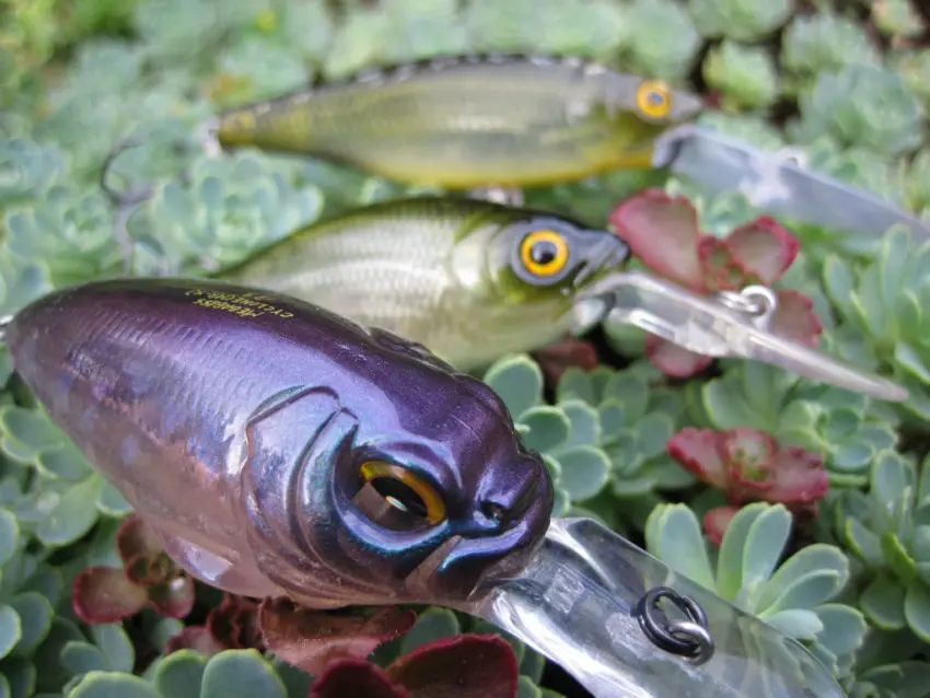 Les leurres de type crankbait pour pêcher le carnassier