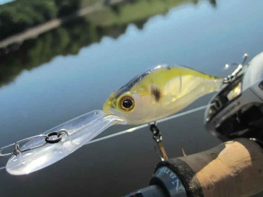 Les leurres de type crankbait pour pêcher le carnassier