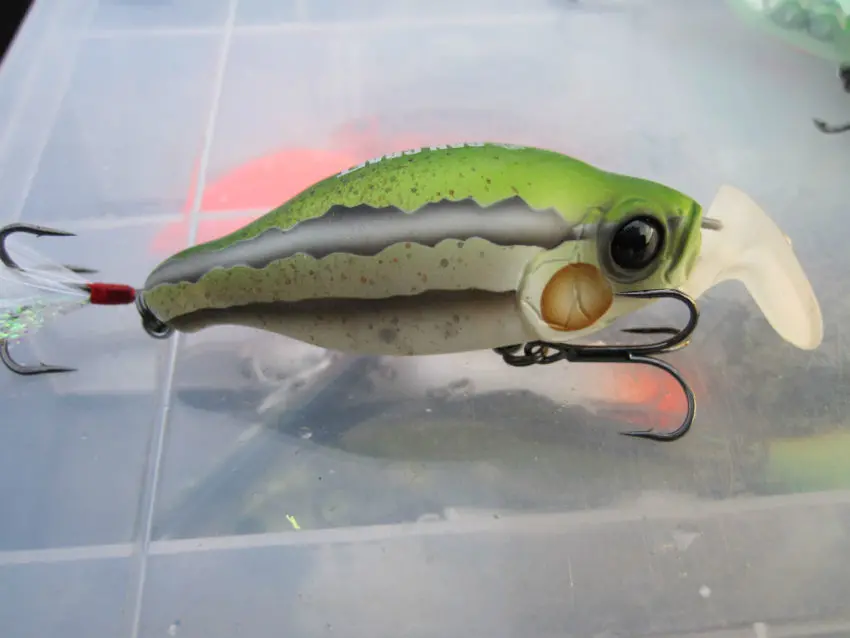 Les leurres de type crankbait pour pêcher le carnassier