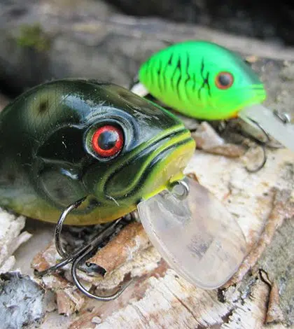 Les leurres de type crankbait pour pêcher le carnassier