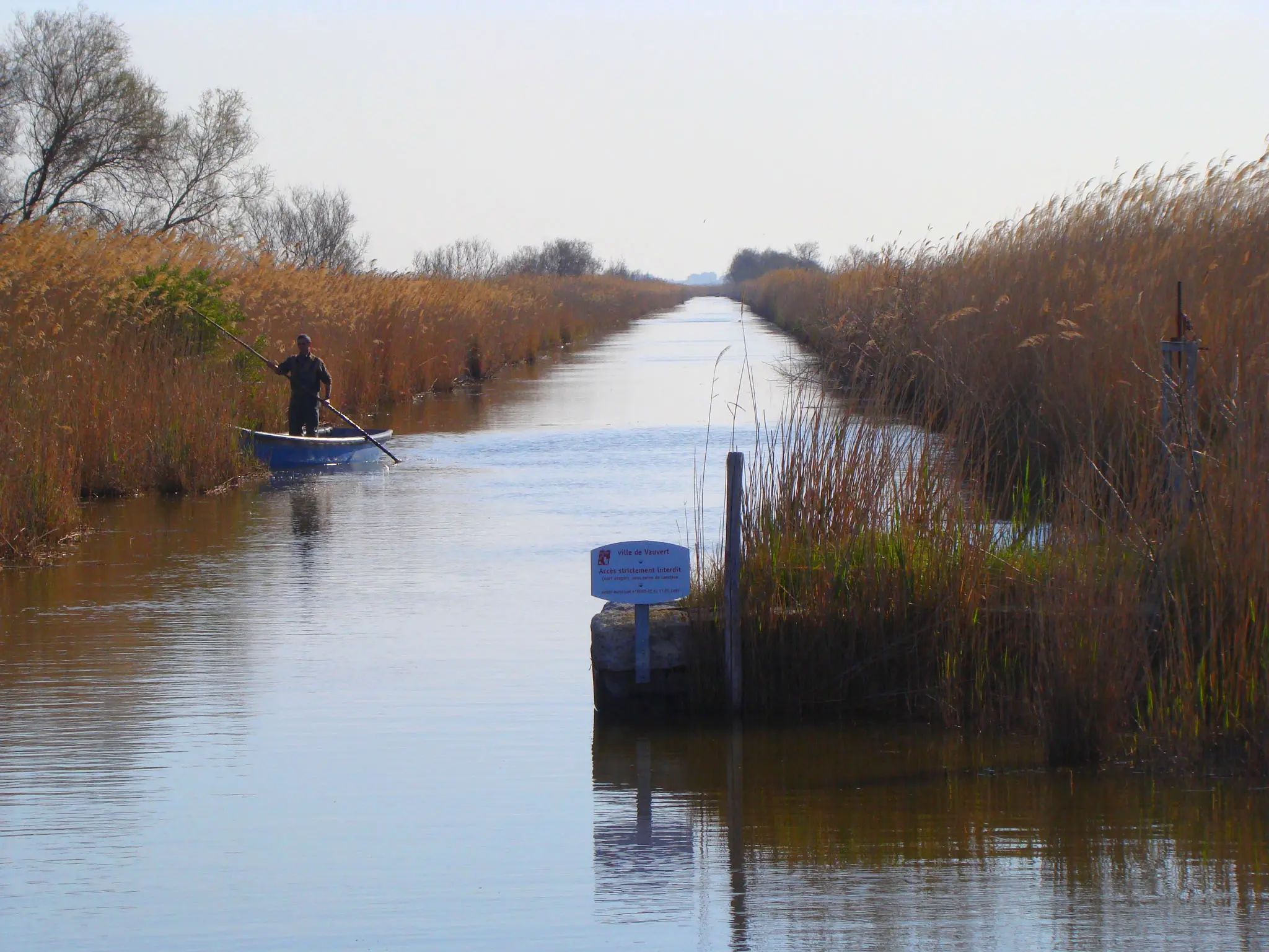 Pêche dans le canal du Rhône à Sète