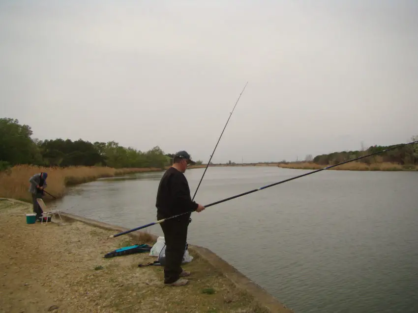 Pêche dans le canal du Rhône à Sète