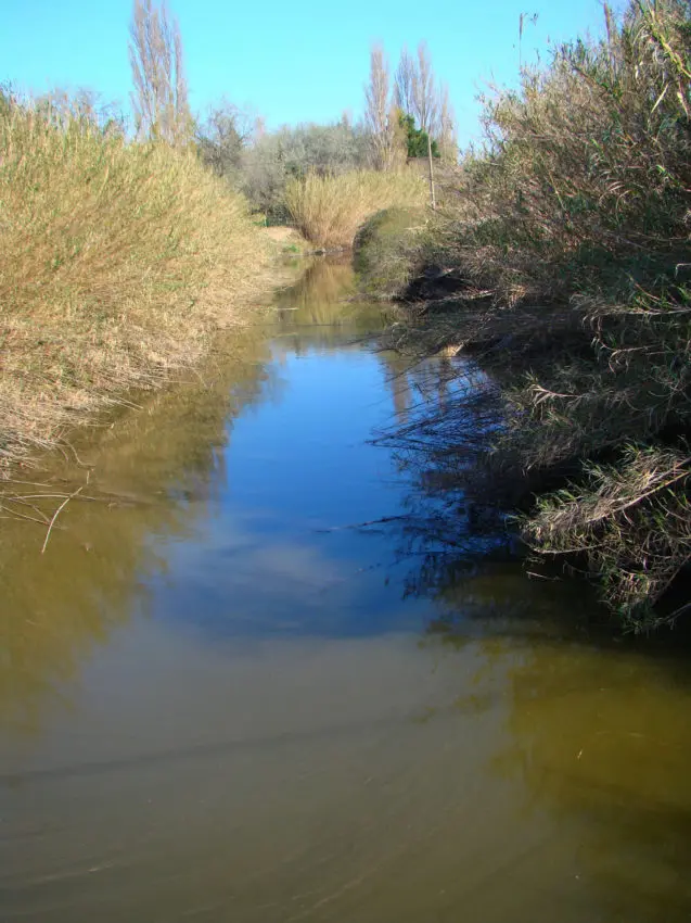 Pêche dans le canal du Rhône à Sète