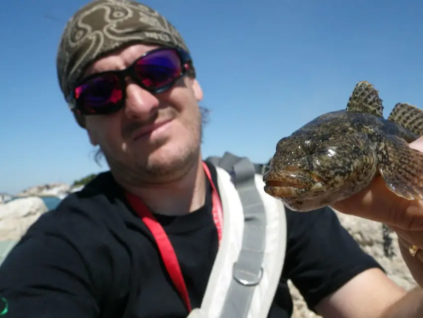 La pêche en rockfishing